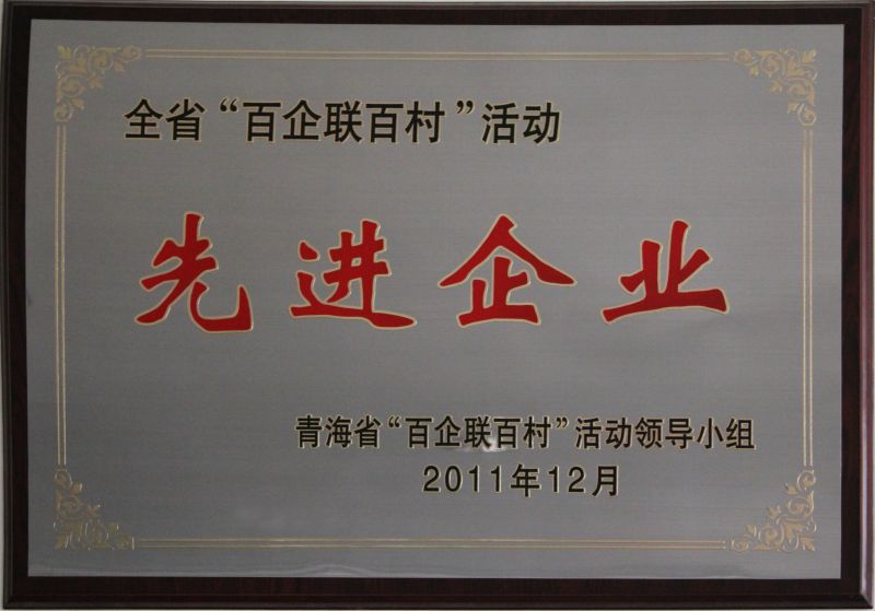 &ldquo;百企聯百村活動&rdquo;先進企業
