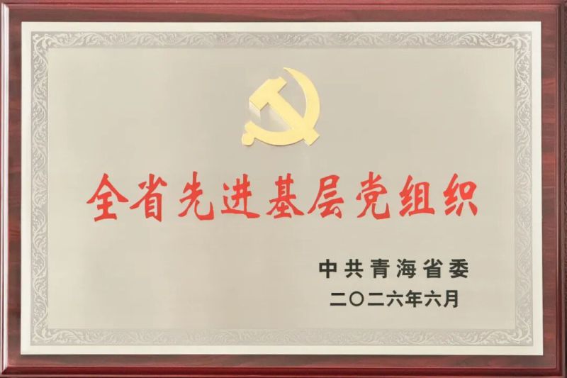 喜報(bào)！省物產(chǎn)集團(tuán)黨委及所屬集體個(gè)人榮獲全省和省國資委系統(tǒng)&ldquo;兩優(yōu)一先&rdquo;表彰